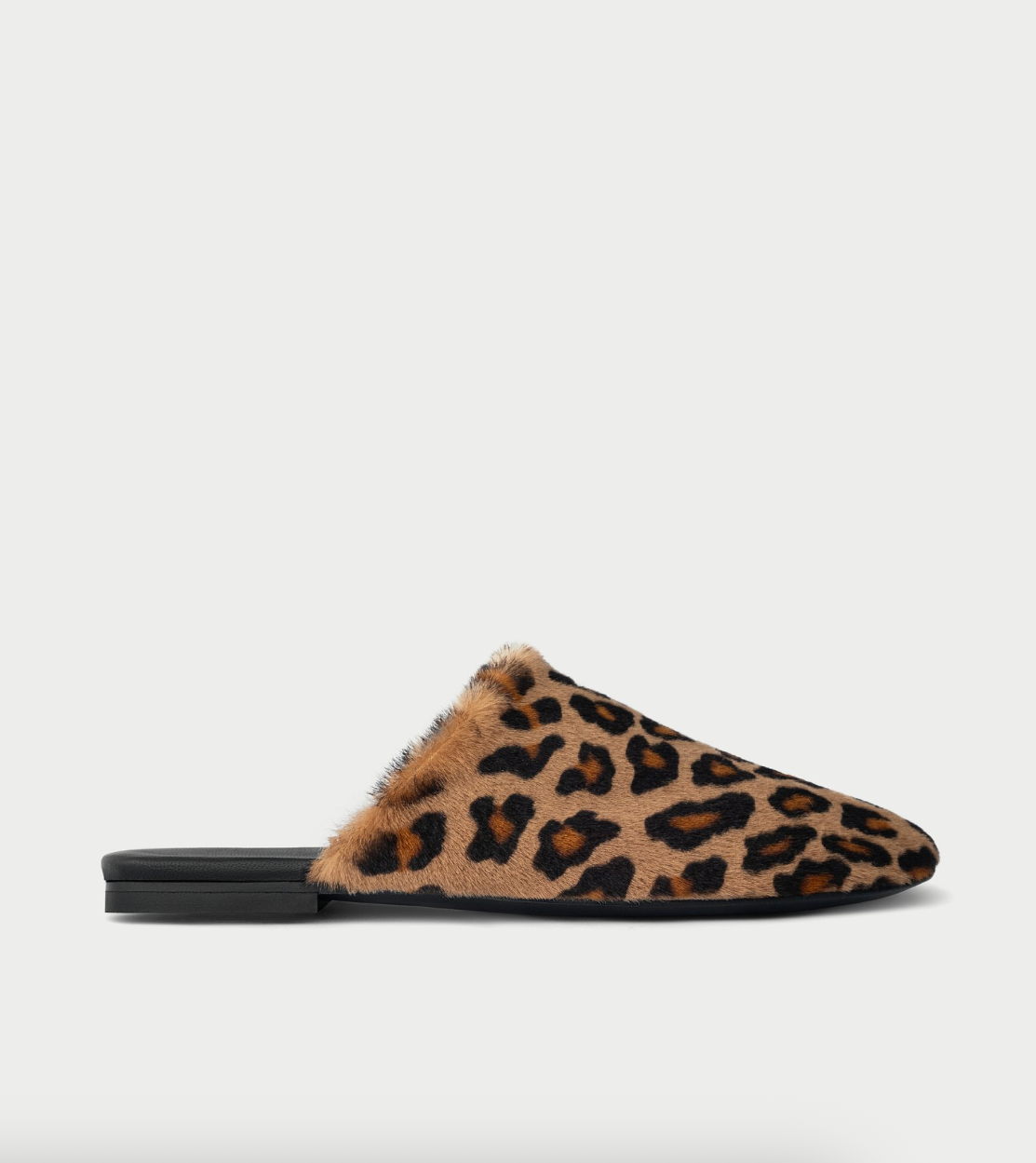 Clip Mules Cavallino HVOYA