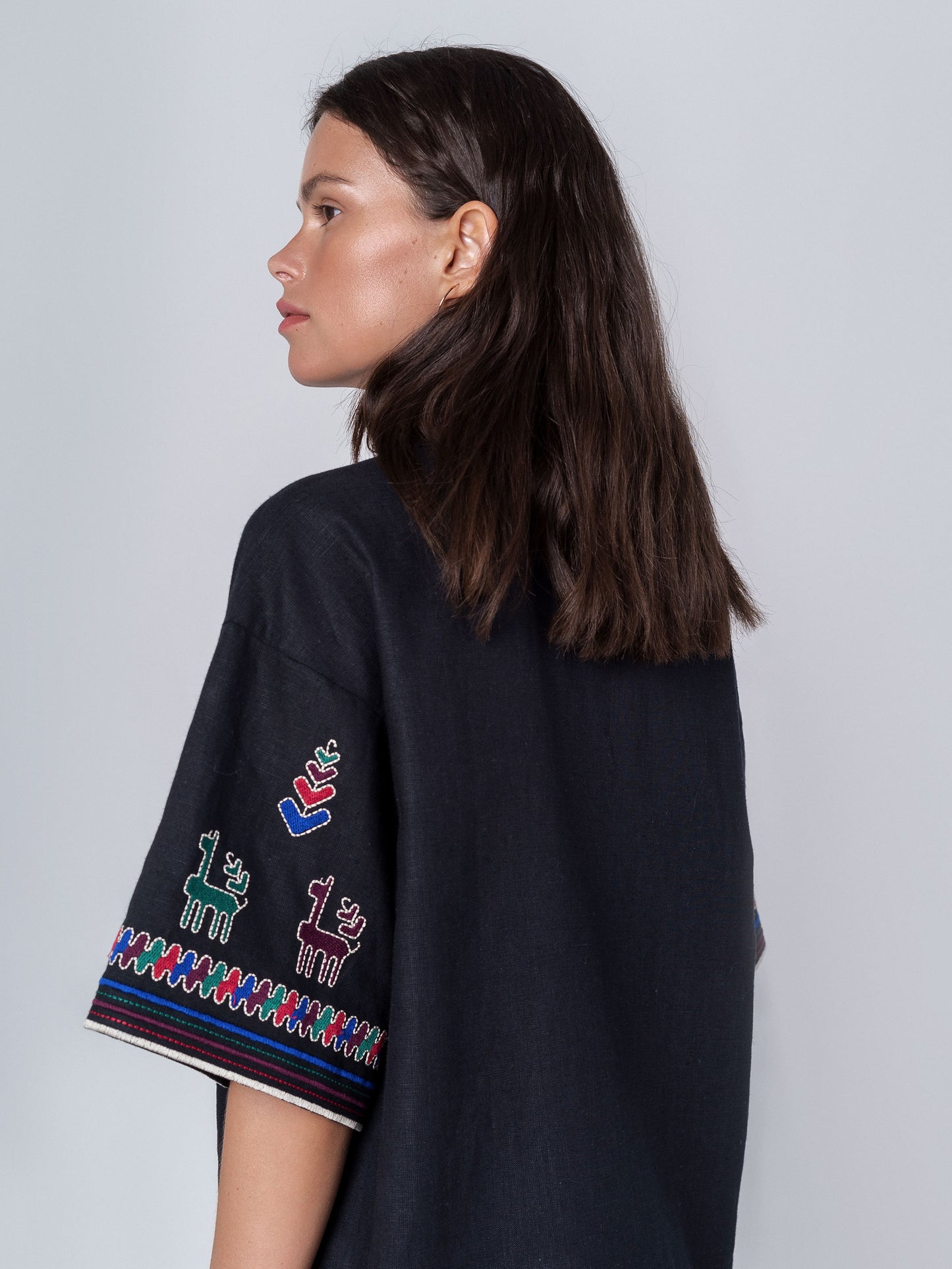 Linen shirt with short sleeves and embroidery Konyk dark ETNODIM