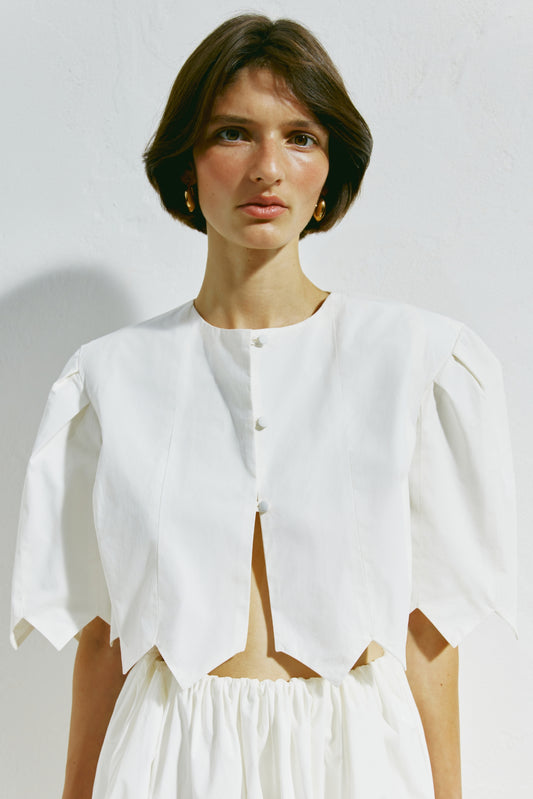 Dzvinytsya top PODYH