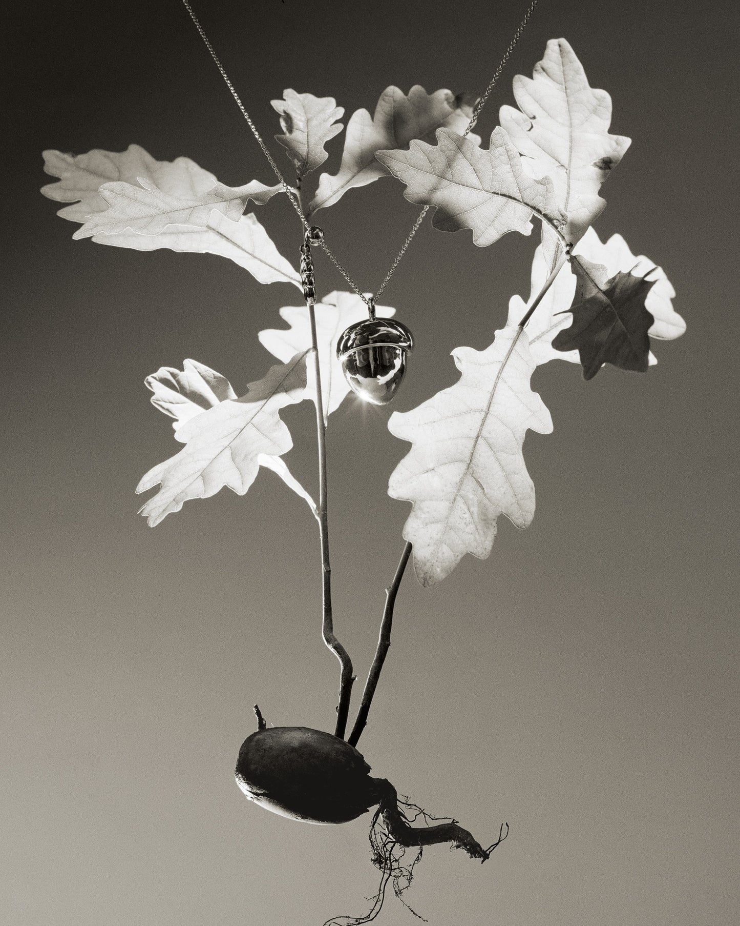 Acorn Pendant GUNIA PROJECT