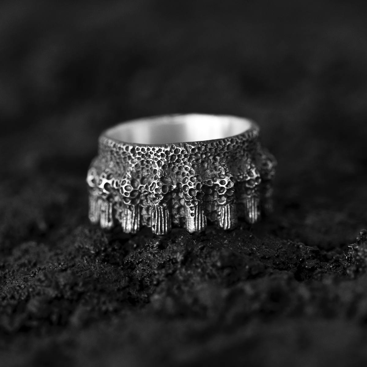 Thylomycetes Ring Phylogenesis Collection DENIS MUSIC