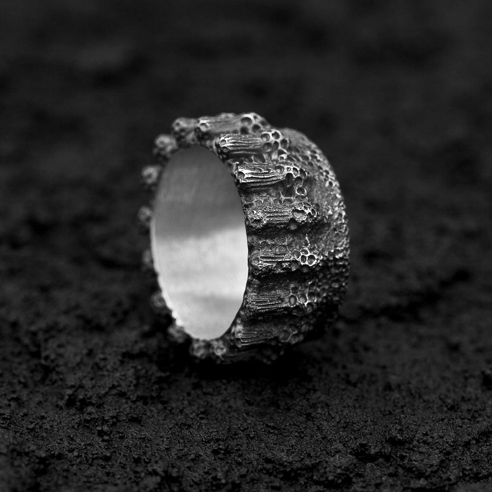 Thylomycetes Ring Phylogenesis Collection DENIS MUSIC