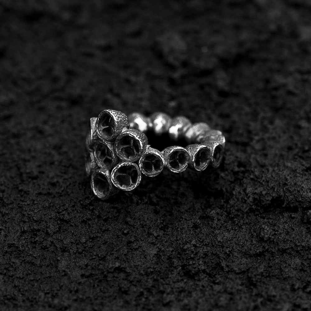 Aurothrix Ring Phylogenesis Collection DENIS MUSIC