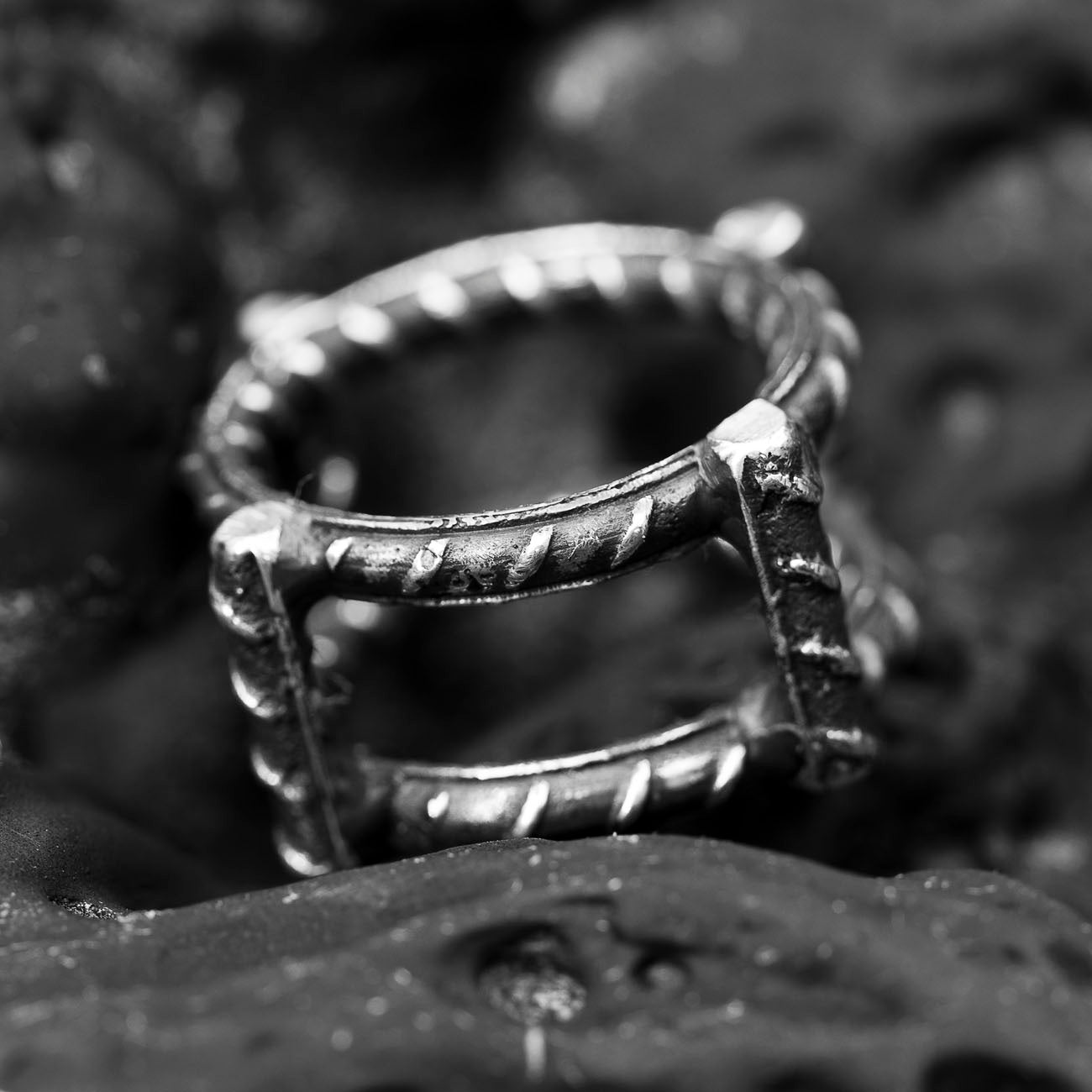 Source 2 Ring Reinformation Collection DENIS MUSIC