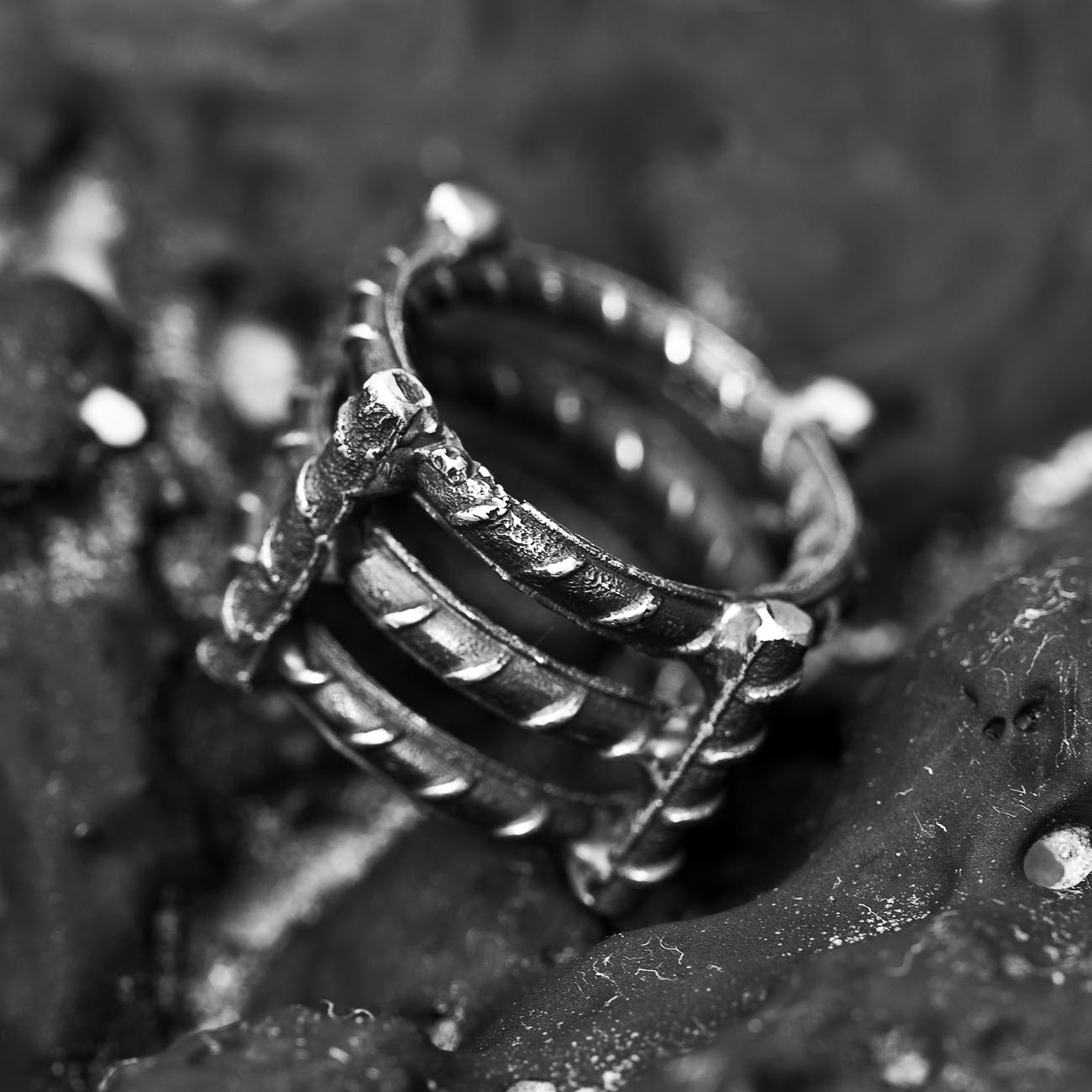 Source 3 Ring Reinformation Collection DENIS MUSIC