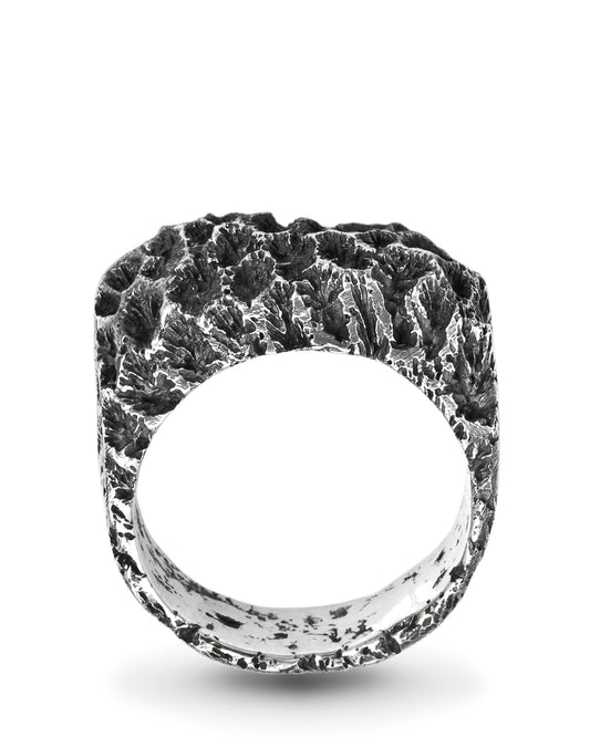 Leptoria Ring Coral Shadow Collection DENIS MUSIC