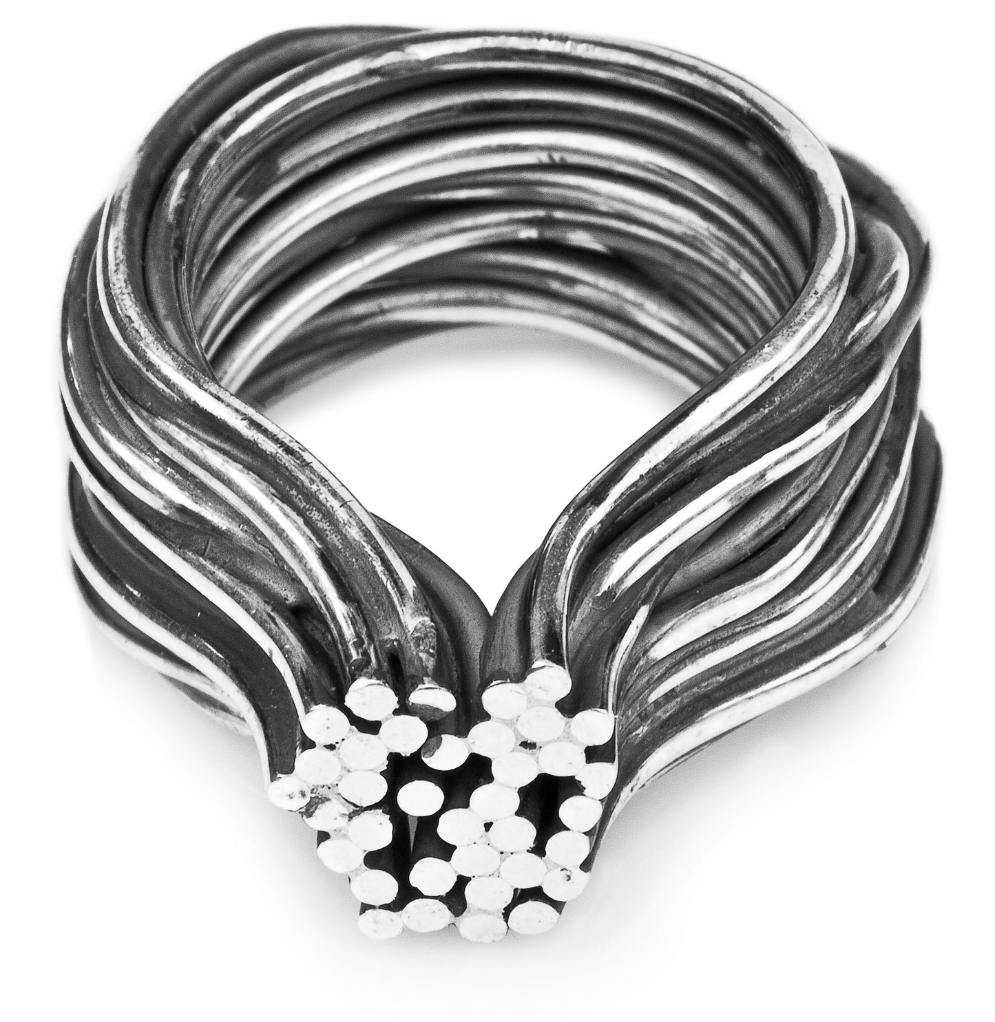 Litorilinea Ring M Phylogenesis Collection DENIS MUSIC