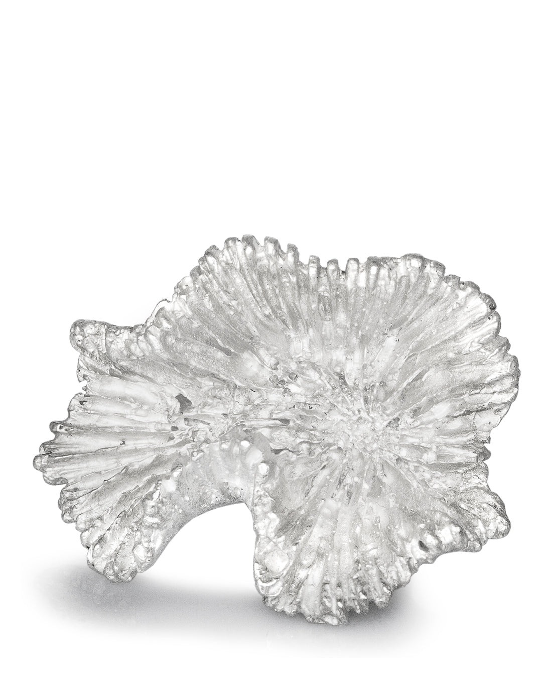 Oxypora White Ring Coral Shadow Collection DENIS MUSIC