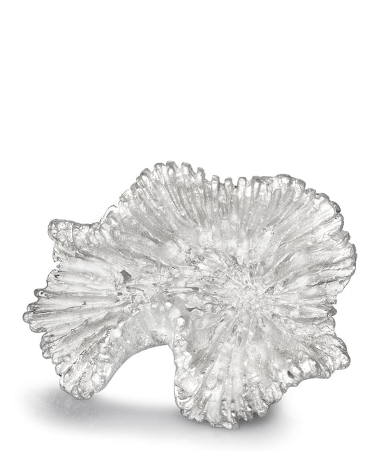 Oxypora White Ring Coral Shadow Collection DENIS MUSIC