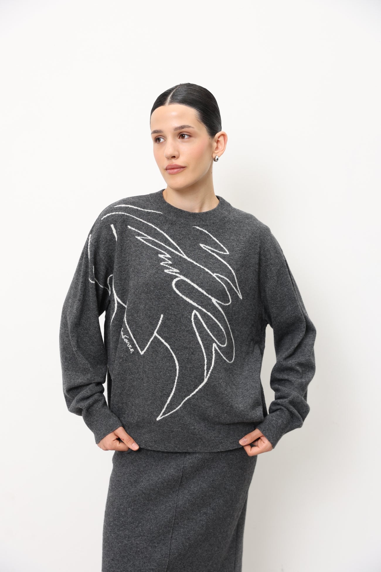 Jumper With Accent Graphic Motif 91LAB