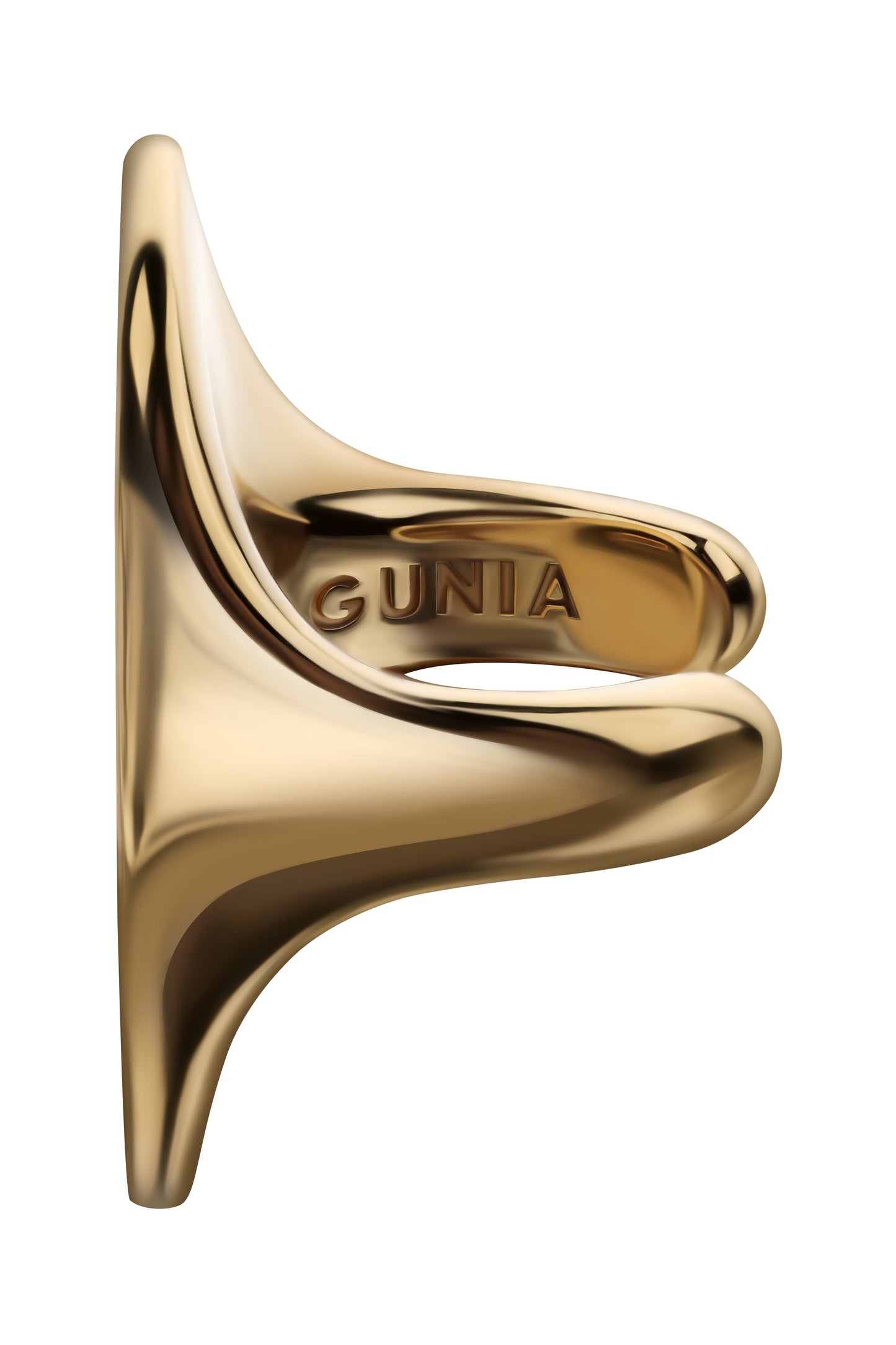 CONSTELLATION RING GUNIA PROJECT