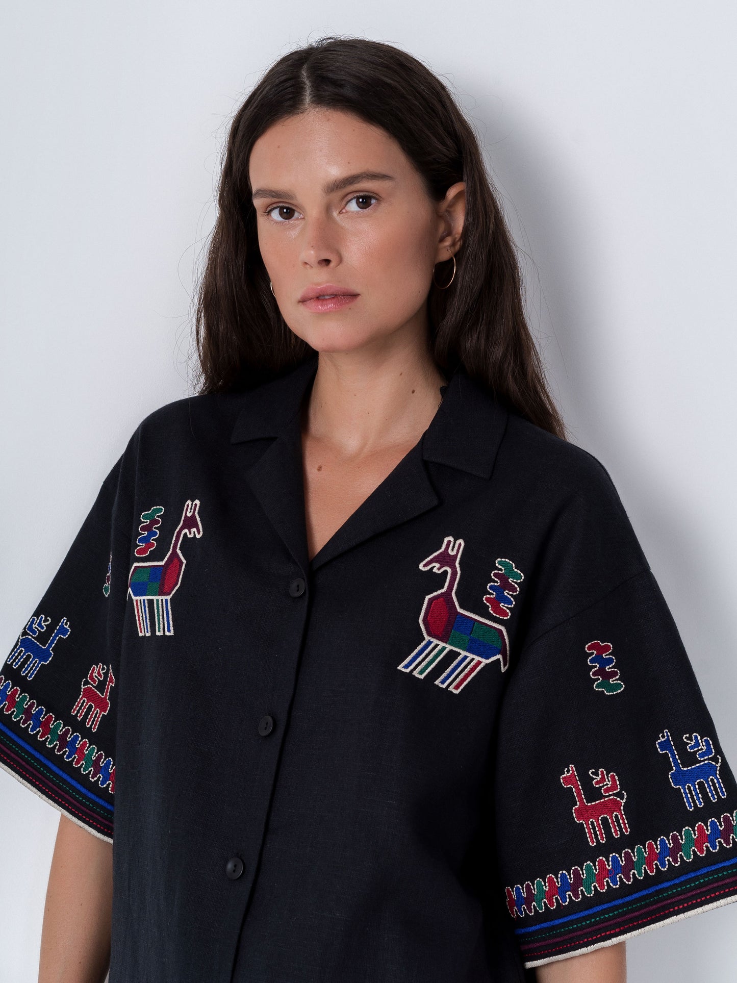 Linen shirt with short sleeves and embroidery Konyk dark ETNODIM