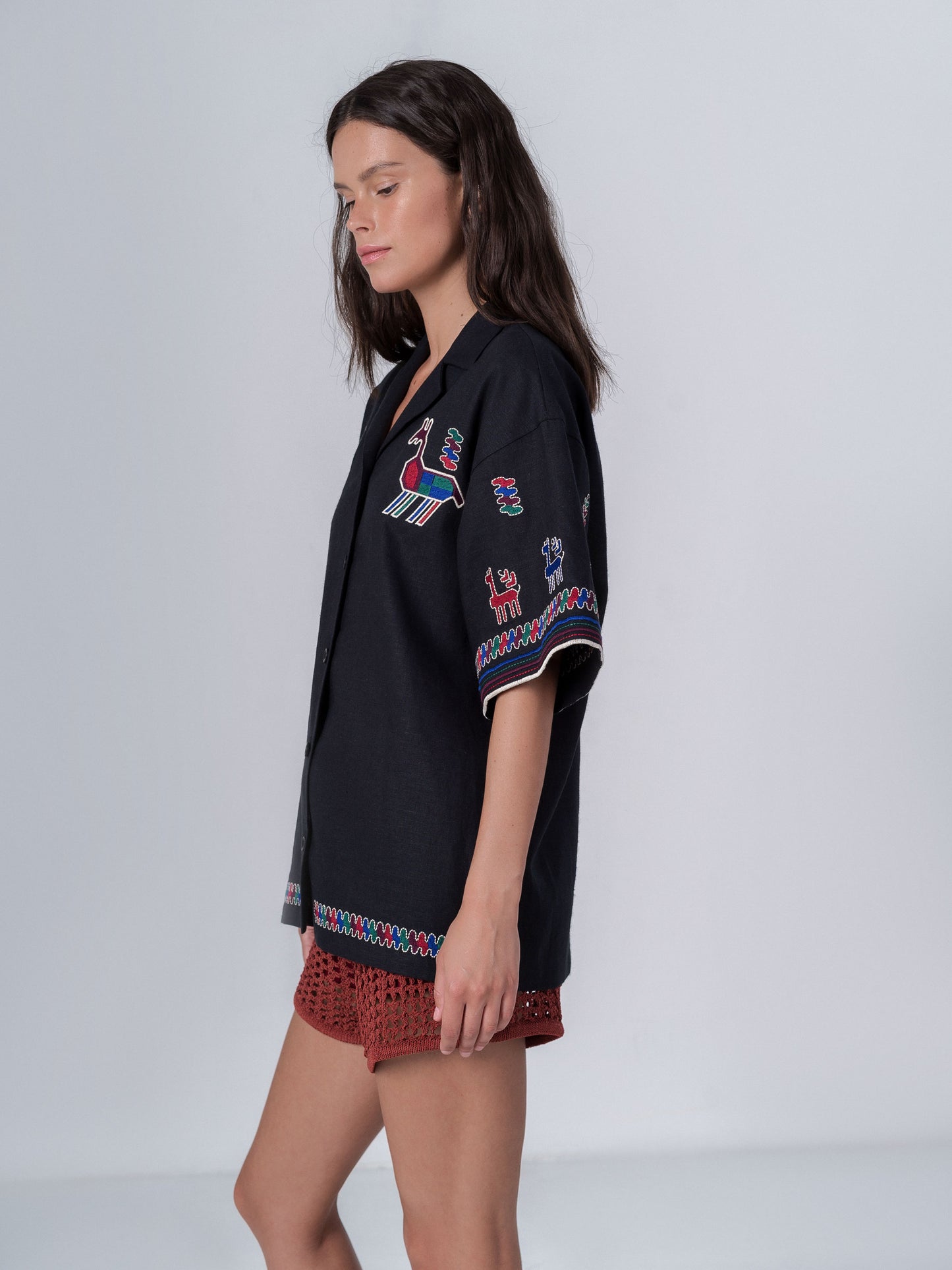 Linen shirt with short sleeves and embroidery Konyk dark ETNODIM