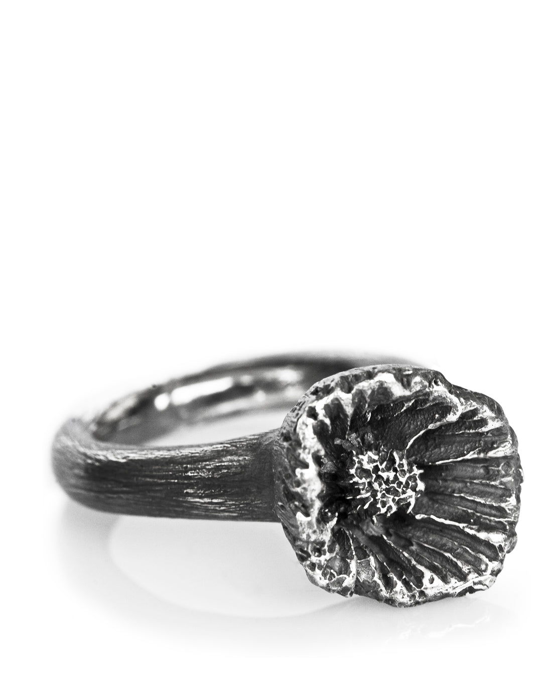 Hydroid Black Ring Coral Shadow Collection DENIS MUSIC